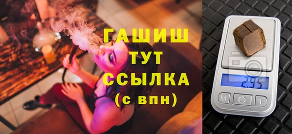 гашик Каменка